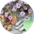 fotolia_172852499_jardinage_rond.webp