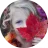 gabby-orcutt-74607_enfant_rond.webp